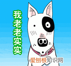 《家有小贱》by我的小q,盘点那些重刷三观怀疑人生的动漫