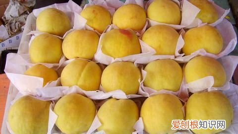 黄桃能不能吃皮，黄桃要不要去毛