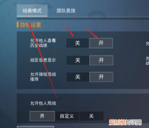 和平精英第二面板用处