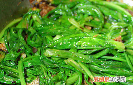 豆萁鱼油麦菜的做法，豆豉鲮鱼油麦菜的做法步骤视频