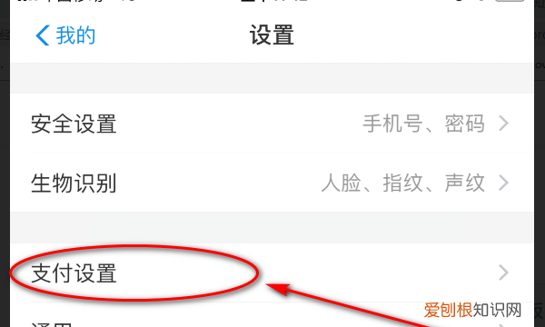 支付宝免密支付如何取消，支付宝免密支付怎么关闭