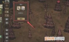 篝火2宝石怎么获得，篝火2怎么捡地上的东西