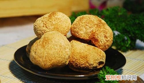 猴头菇隔夜还能吃吗