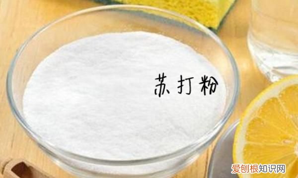 烧水壶里的水垢怎么去除，如何去除电热水壶里的水垢