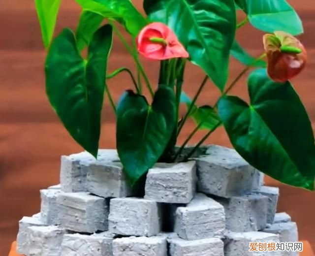 洗衣机太脏了怎么清理才能彻底清理干净