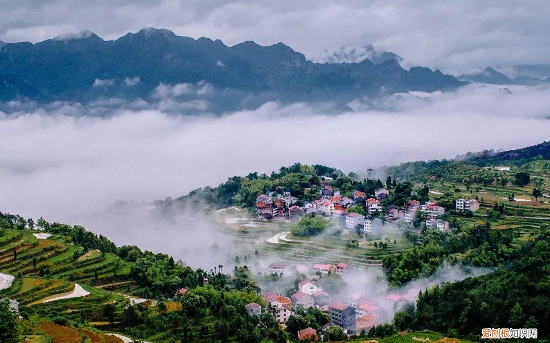 天童山中月夜独坐