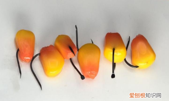 玉米适合什么季节钓鱼，东北几月份可以用玉米钓鱼