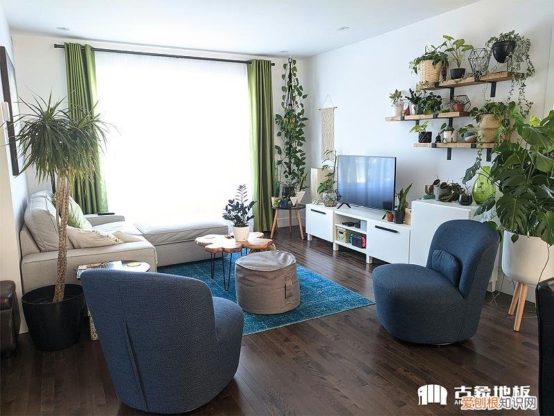 木地板打蜡怎么操作