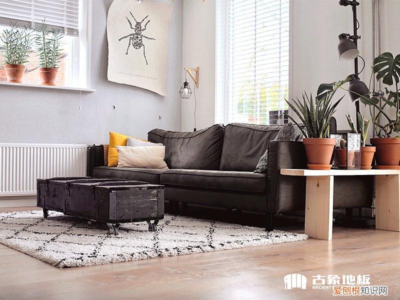 木地板打蜡怎么操作