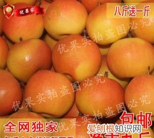 南果梨为什么有酒味,梨子发酵了有酒味还能吃