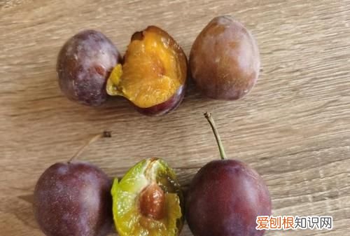 没熟的西梅可以吃吗