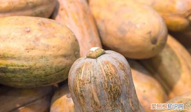 吃南瓜的好处是什么，经常吃金瓜的作用是什么
