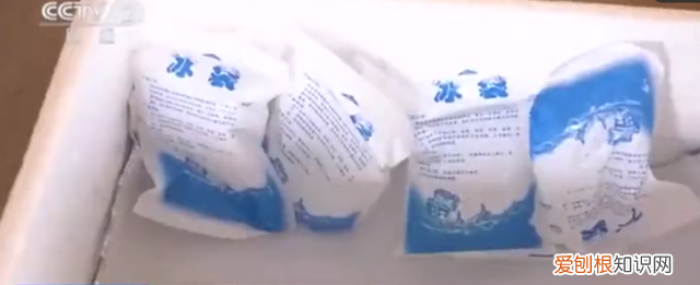 生鲜冰袋回收难 网购生鲜冰袋能重复利用吗