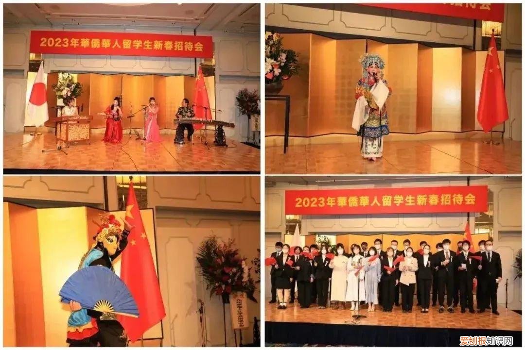 取缔役是什么意思