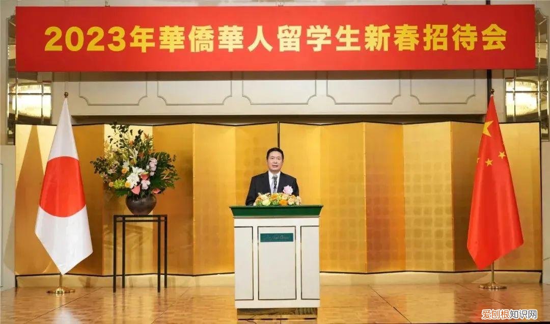 取缔役是什么意思