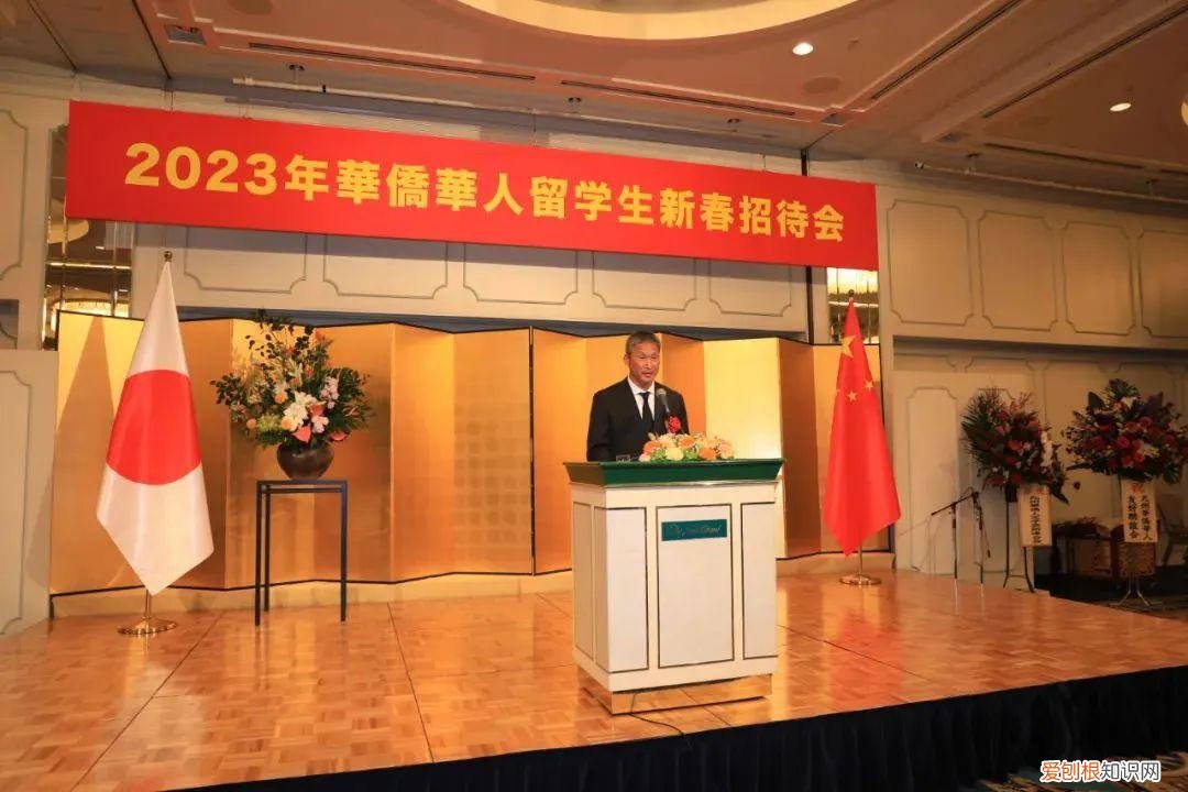 取缔役是什么意思