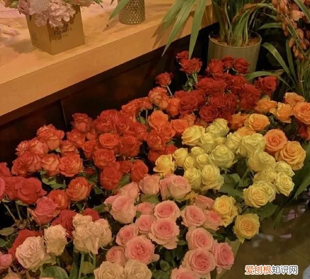 重名率很小的网名