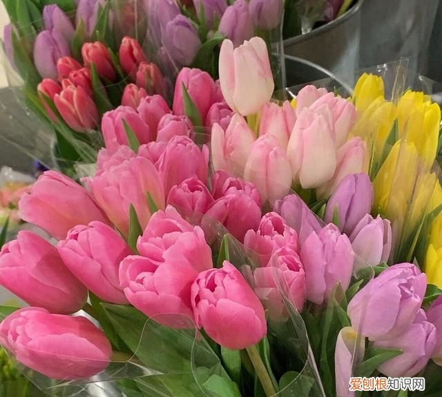 重名率很小的网名