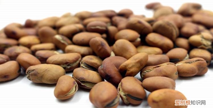 蚕豆热量高不高，炒蚕豆的热量是多少