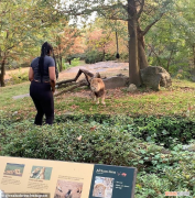 能播放女人另类ZOOZ0