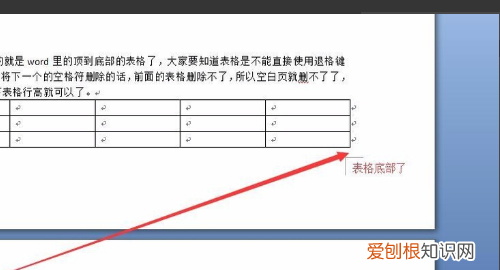Word文档怎么才可以删除掉空白页