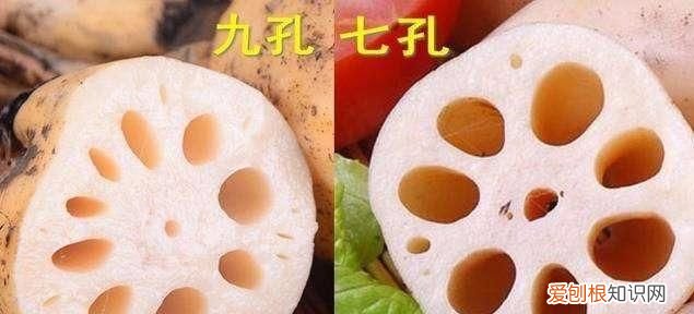藕七孔和九孔的区别，13孔藕和11孔藕的区别