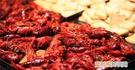 小龙虾可以吃吗