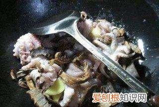 如何做红烧八爪鱼，红烧章鱼怎么做才好吃