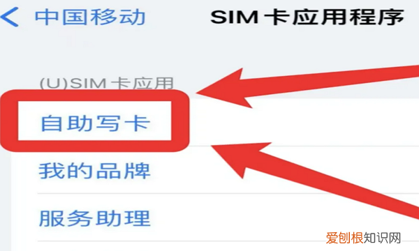 在苹果手机可以怎么样导出通讯录