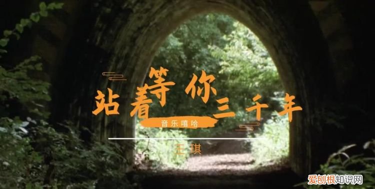 我傻傻的等你岁岁年年是什么歌