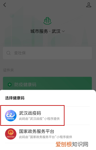 绿码在哪里查看，支付宝绿码在哪里查看