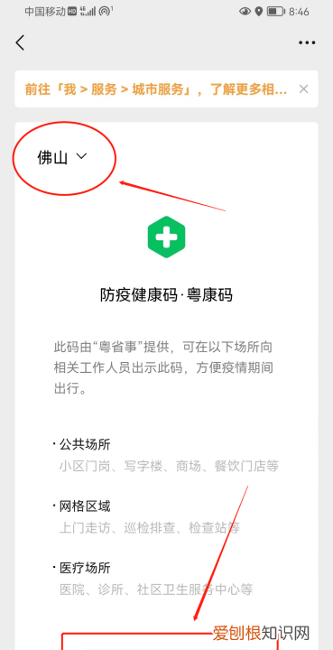 绿码在哪里查看，支付宝绿码在哪里查看