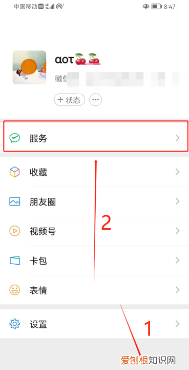 绿码在哪里查看，支付宝绿码在哪里查看