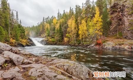 阿富汗有森林和草地,阿富汗有森林和草地吗