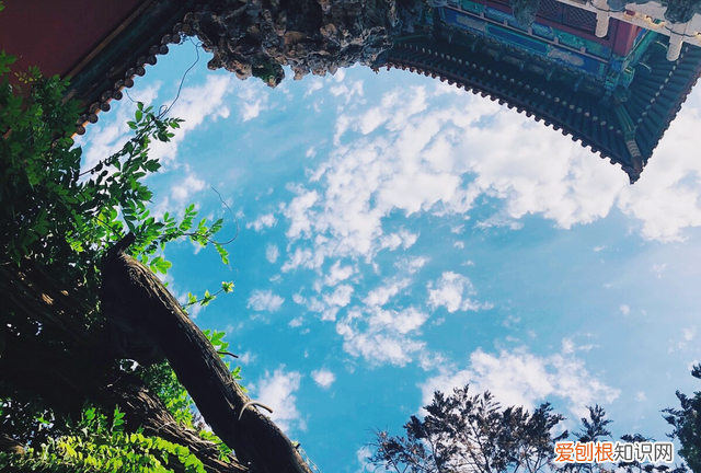 遏必隆和雍正的关系,康熙王朝遏必隆是谁的后代