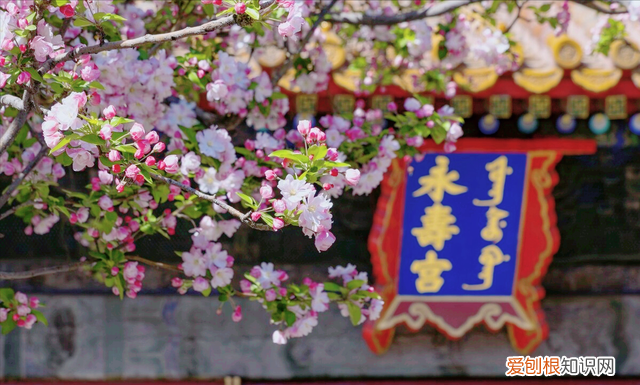 遏必隆和雍正的关系,康熙王朝遏必隆是谁的后代