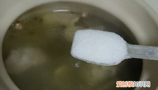 怎么做清炖羊排，清炖羊排怎么做好吃