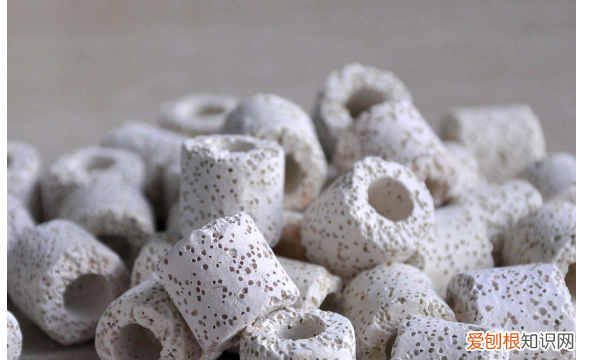 滤材可以直接放鱼缸，滤材放鱼缸底部可以吗