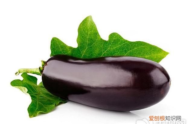 茄子可以生吃吗,凉水茄子可以生吃