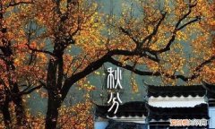 秋分是几月几日，22年秋分是几月几号