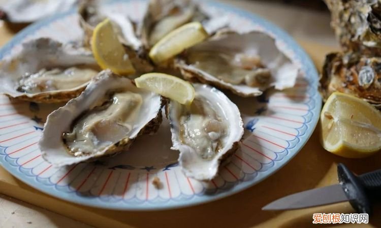 怎样开生蚝最快