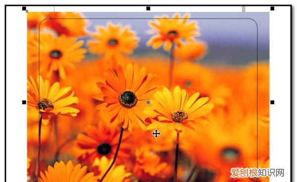 cdr该怎么样才可以圆角