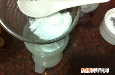 自制椰子汁的做法，鲜榨椰子汁的做法窍门