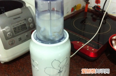 自制椰子汁的做法，鲜榨椰子汁的做法窍门