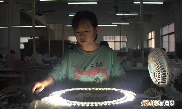 多肉补光灯和普通灯有什么区别，植物补光灯和普通灯的区别图片