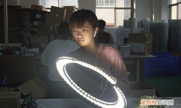 多肉补光灯和普通灯有什么区别，植物补光灯和普通灯的区别图片