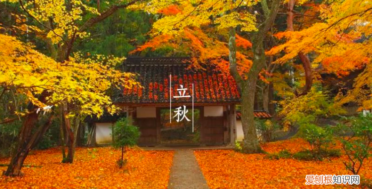 早秋是什么时候，中医里的"春、夏、秋、长夏、冬"分别对应农历或公历的什么时候