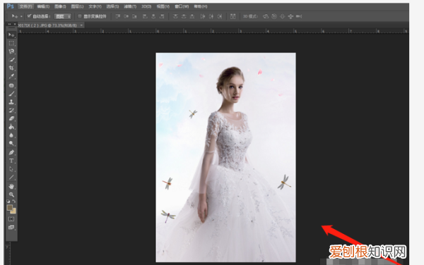 ps怎么批量套模板,在PS上可以如何批量调色