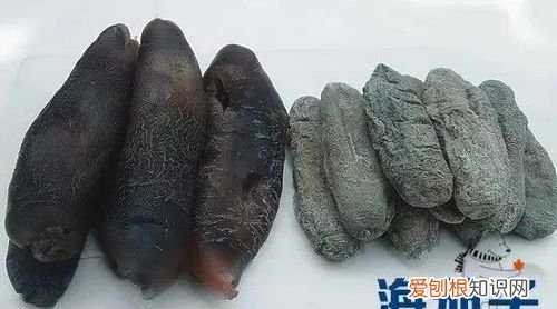 海茄子有营养吗，海茄子要怎么处理才能吃