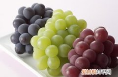 蒲桃的营养价值，蒲桃果泡酒的配方